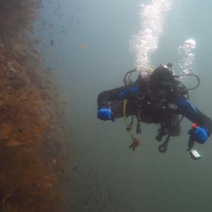 Diver_khv