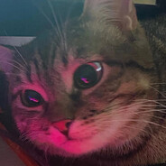 mOi